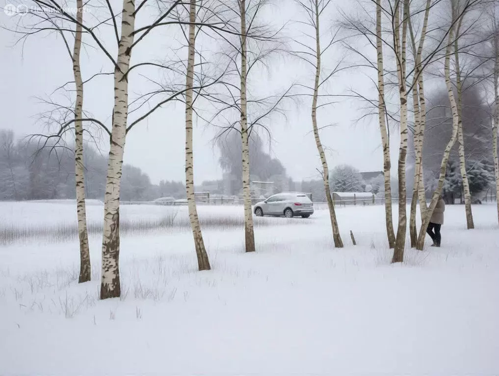 Дом в Ярославская область, Некрасовский муниципальный округ, ... - Фото 2