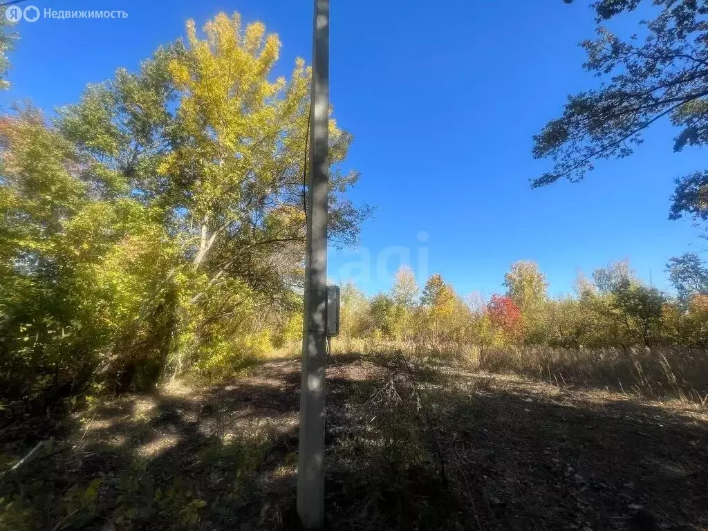 Участок в Рамонский район, Айдаровское сельское поселение, посёлок ... - Фото 2