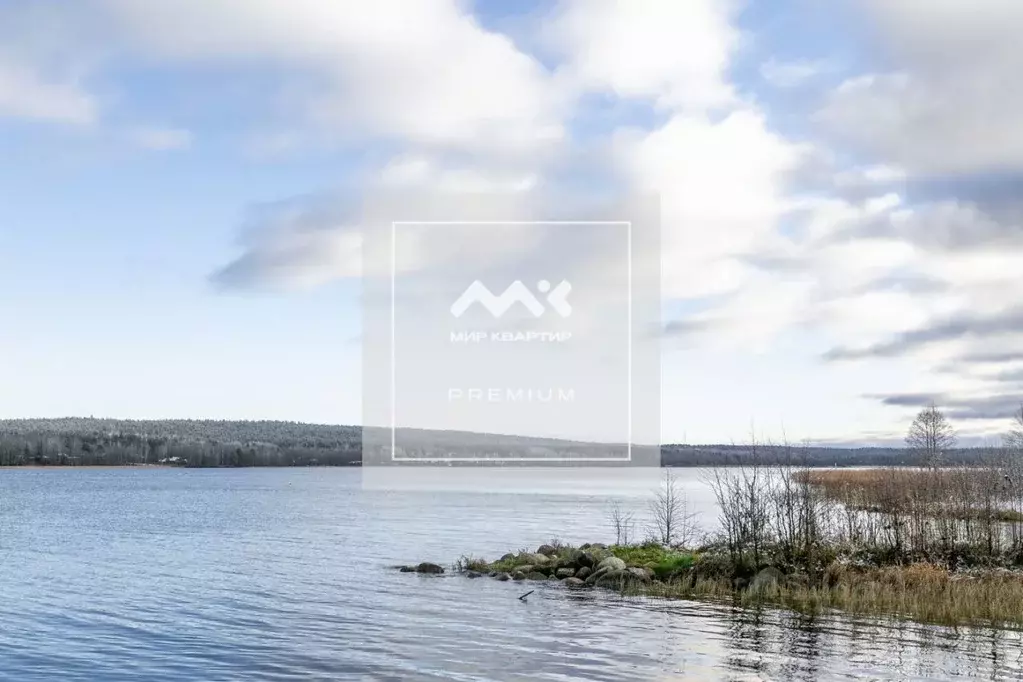 Участок в Ленинградская область, Выборгский район, Рощинское городское ... - Фото 1