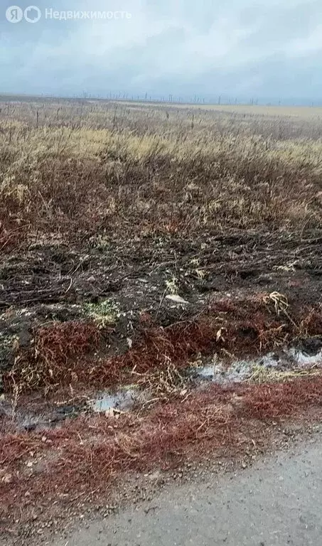 Участок в Иркутский муниципальный округ, село Урик (45 м) - Фото 2