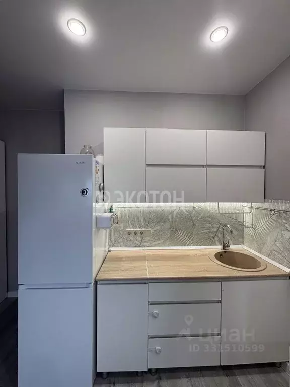 Студия Санкт-Петербург просп. Королева, 69 (24.5 м) - Фото 1