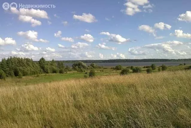 Участок в Псковская область, Красногородский муниципальный округ, ... - Фото 0
