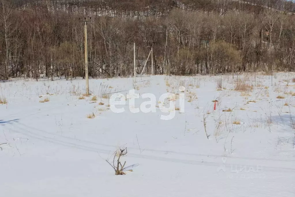 Хабаровский Край Село Мичуринское Купить Дом