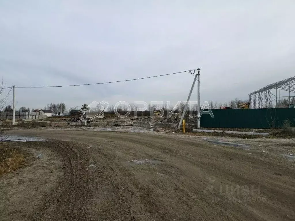 Участок в Тюменская область, Тюмень Рябинка-2 садовое товарищество, ... - Фото 1