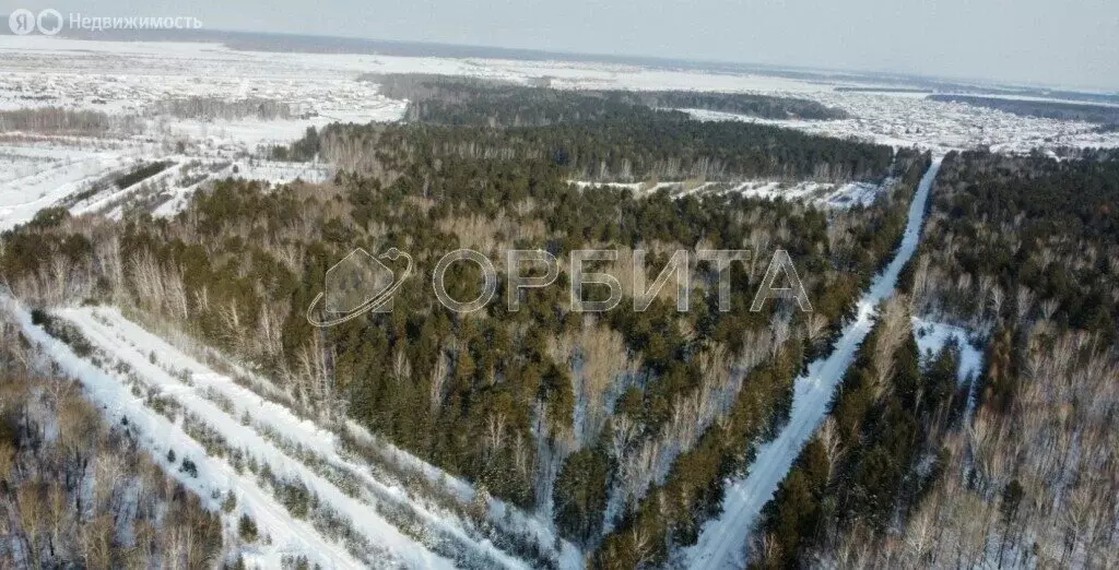 Участок в Тюменский район, деревня Ушакова (11 м) - Фото 1