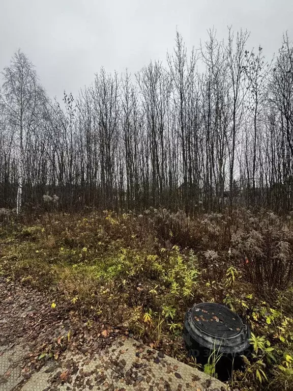 Участок, 6 сот., сельхоз (снт или днп) - Фото 1