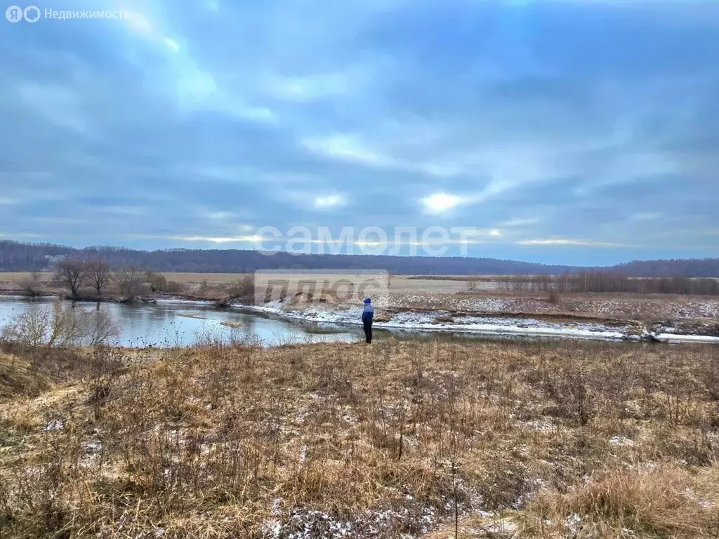 Участок в Московская область, Раменский муниципальный округ, село ... - Фото 0