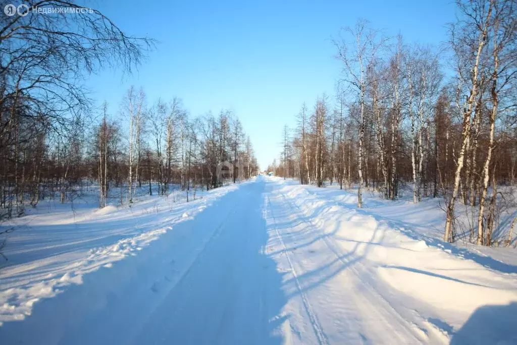 Участок в Новый Уренгой, район Северная Жилая Часть (6 м) - Фото 0