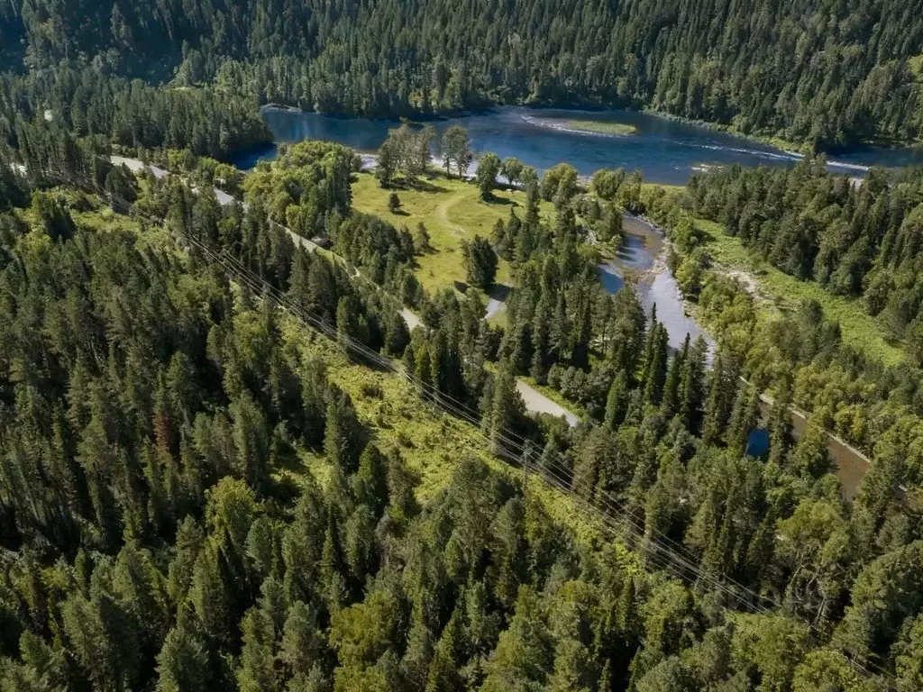 Участок в Алтай, Турочакский район, с. Дмитриевка  (10.0 сот.) - Фото 1