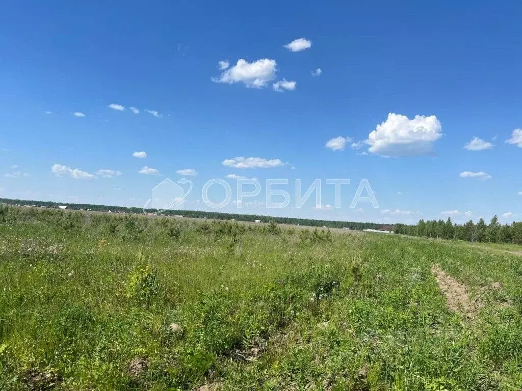 Участок в Свердловская область, Тугулым пгт ул. Лесная, 30 (14.83 ... - Фото 1