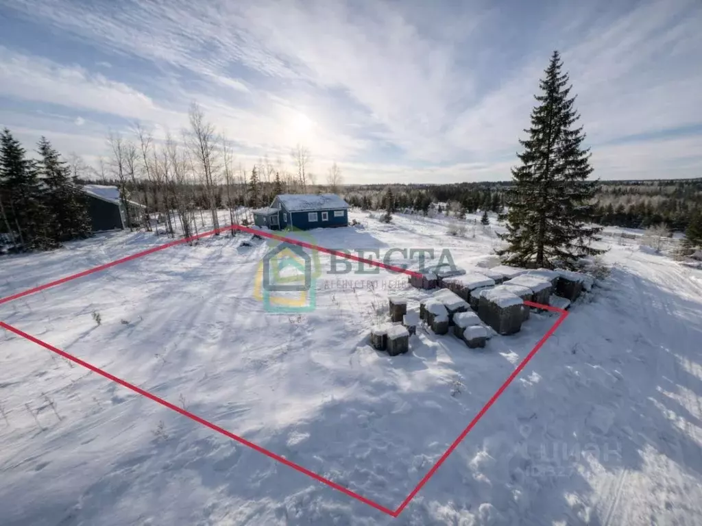 Участок в Ленинградская область, Всеволожский район, Агалатовское ... - Фото 1