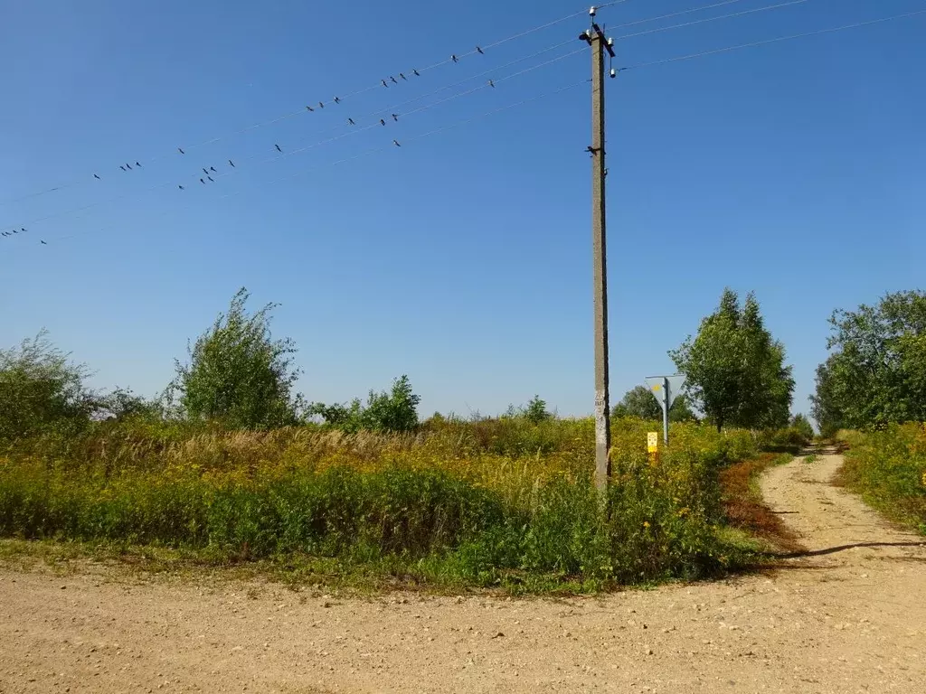 Участок в Смоленская область, Смоленский муниципальный округ, д. ... - Фото 2