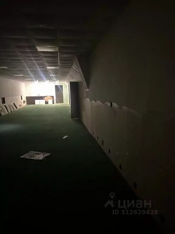 Помещение свободного назначения в Татарстан, Набережные Челны ул. ... - Фото 1