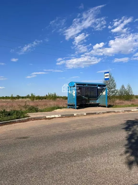 Участок в Калужская область, Калуга Рябинка СНТ, ул. Садовая (4.8 ... - Фото 2