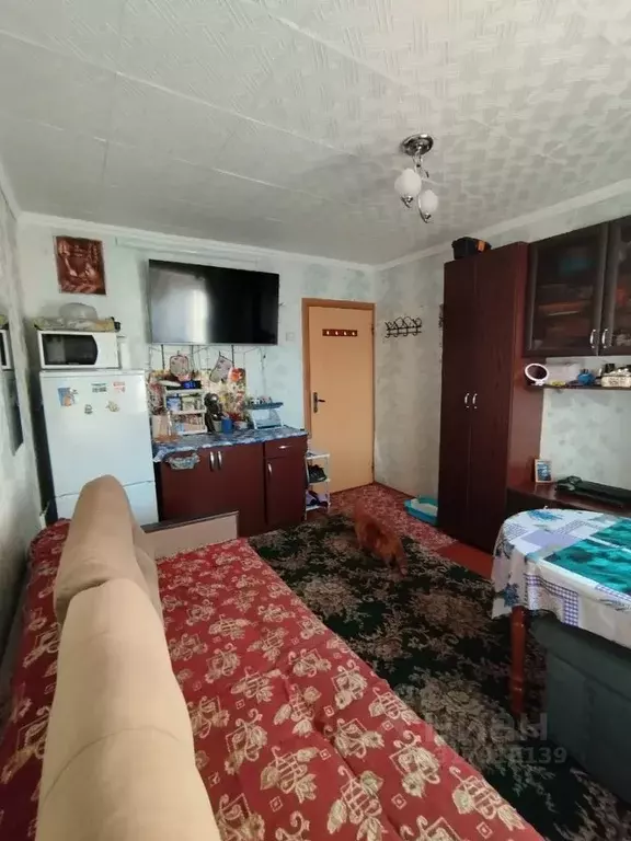Комната Архангельская область, Архангельск ул. Самойло, 10к1 (12.0 м) - Фото 0