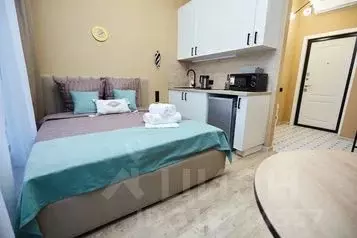 1-к кв. Нижегородская область, Нижний Новгород Ильинская ул., 13/2 ... - Фото 1