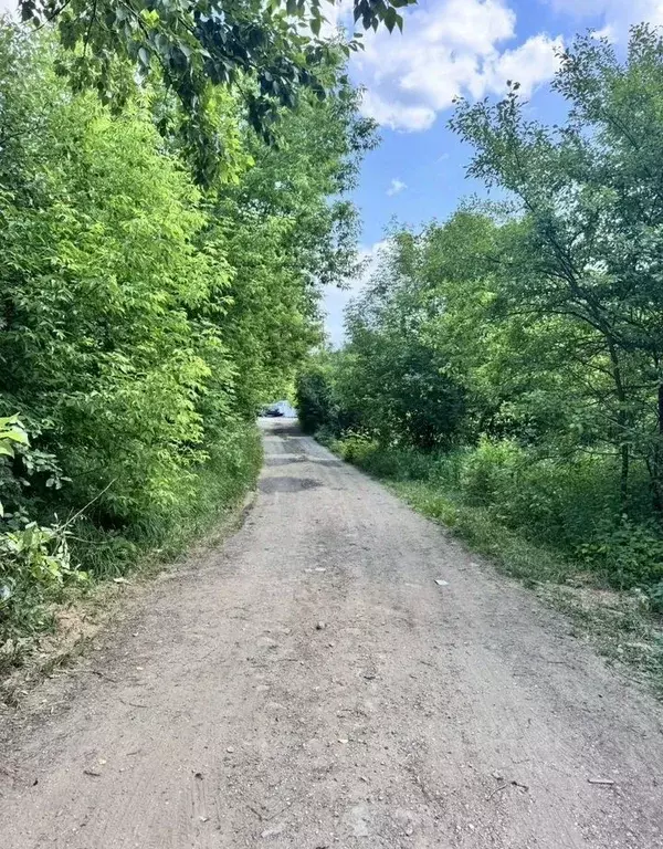 Участок в Московская область, Чехов ул. Гарнаева (5.0 сот.) - Фото 2