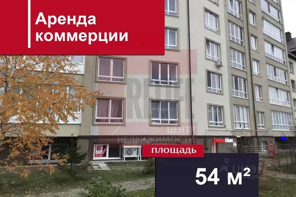 Помещение свободного назначения в Калининградская область, Гурьевский ... - Фото 1
