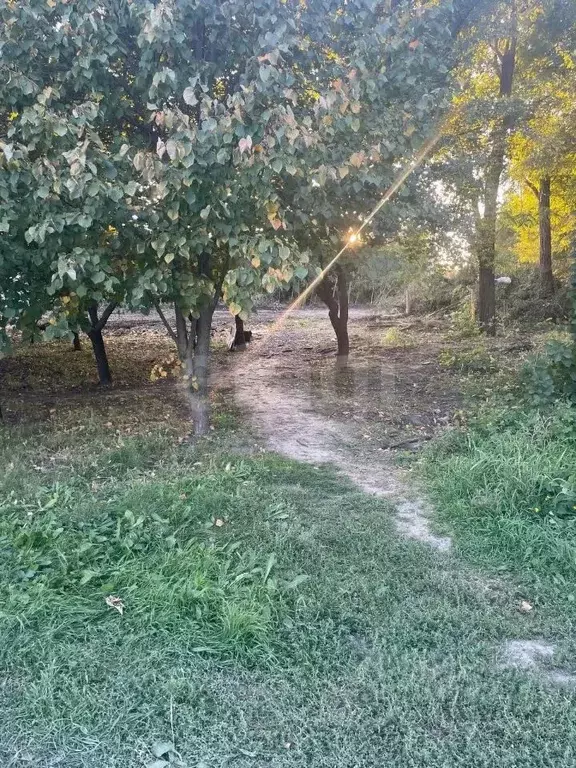 Участок в Ростовская область, Аксайский район, Большелогское с/пос, ... - Фото 2