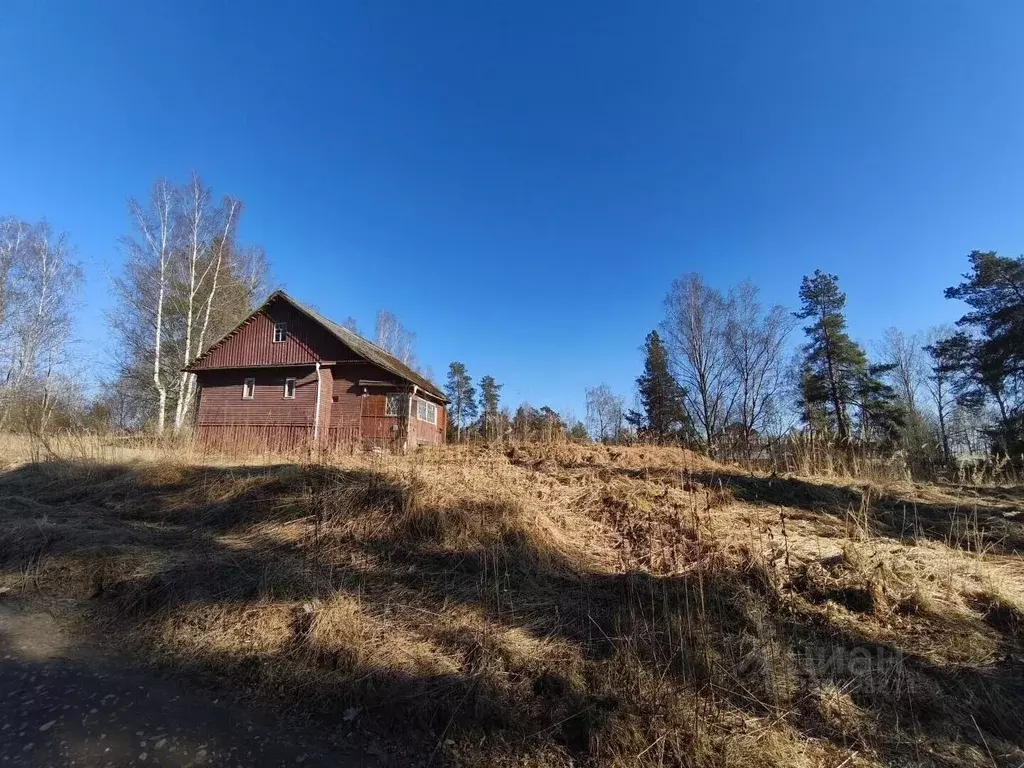 Дом в Ленинградская область, Лужский район, Толмачево городской ... - Фото 2