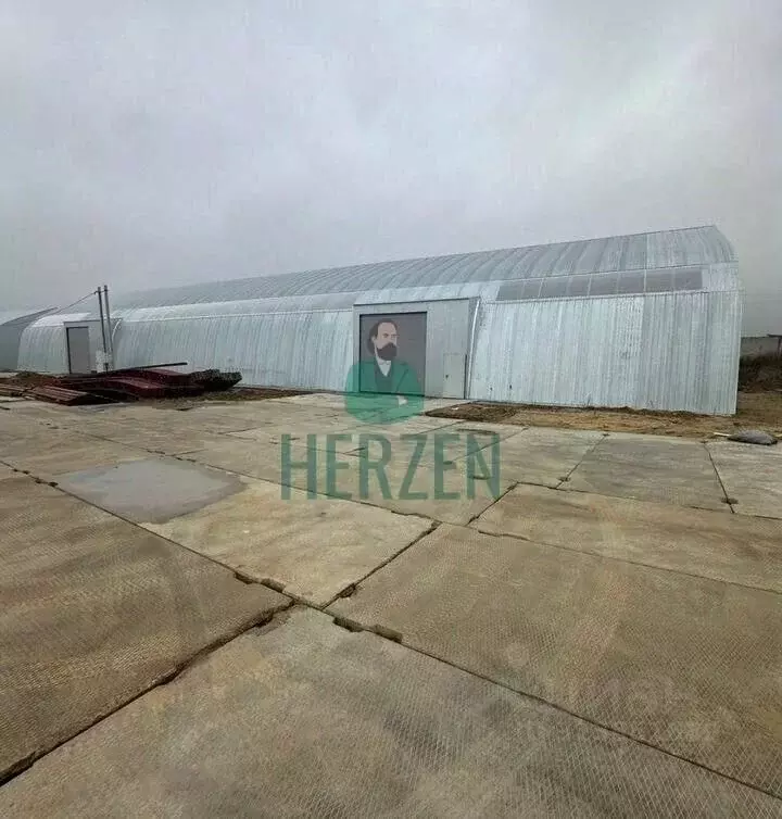 Производственное помещение в Московская область, Балашиха ш. ... - Фото 1