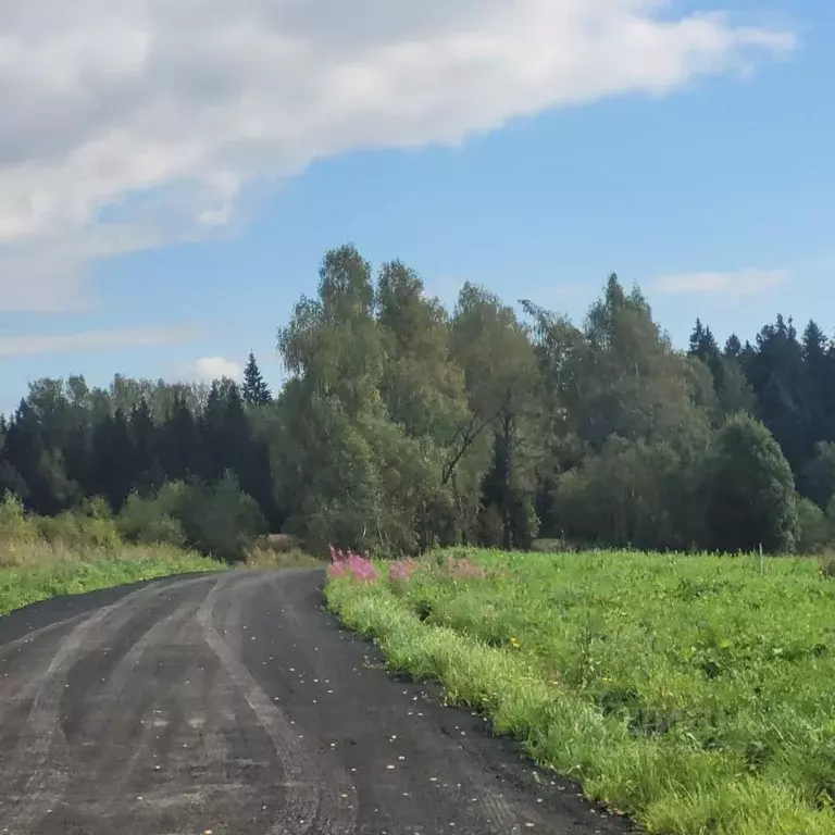 Участок в Московская область, Дмитровский муниципальный округ, д. ... - Фото 1