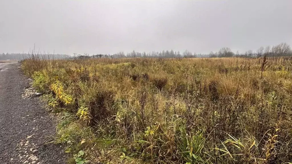 Участок в Московская область, Солнечногорск городской округ, д. ... - Фото 1