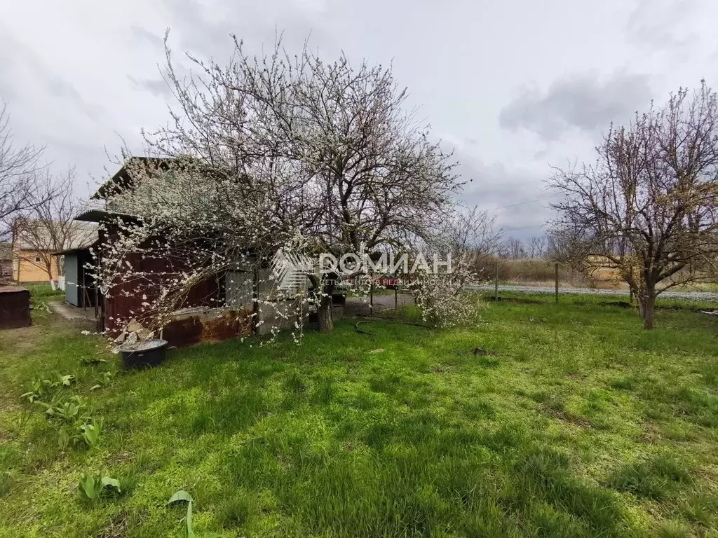 Участок в Ростовская область, Родионово-Несветайский район, ... - Фото 1