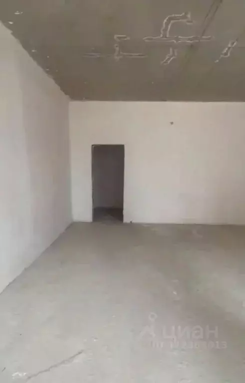 Помещение свободного назначения в Краснодарский край, Анапа Анапское ... - Фото 2