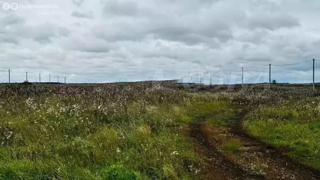 Участок в Переваловское муниципальное образование (8 м) - Фото 1