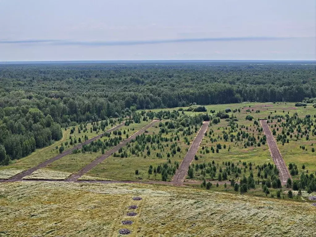 Участок в Тюменская область, Тюменский район, с. Горьковка ул. ... - Фото 1