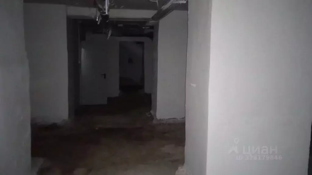 Помещение свободного назначения в Челябинская область, Челябинск ул. ... - Фото 1