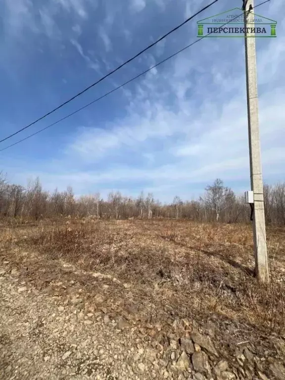 Участок в Приморский край, Надеждинский район, с. Вольно-Надеждинское  ... - Фото 0