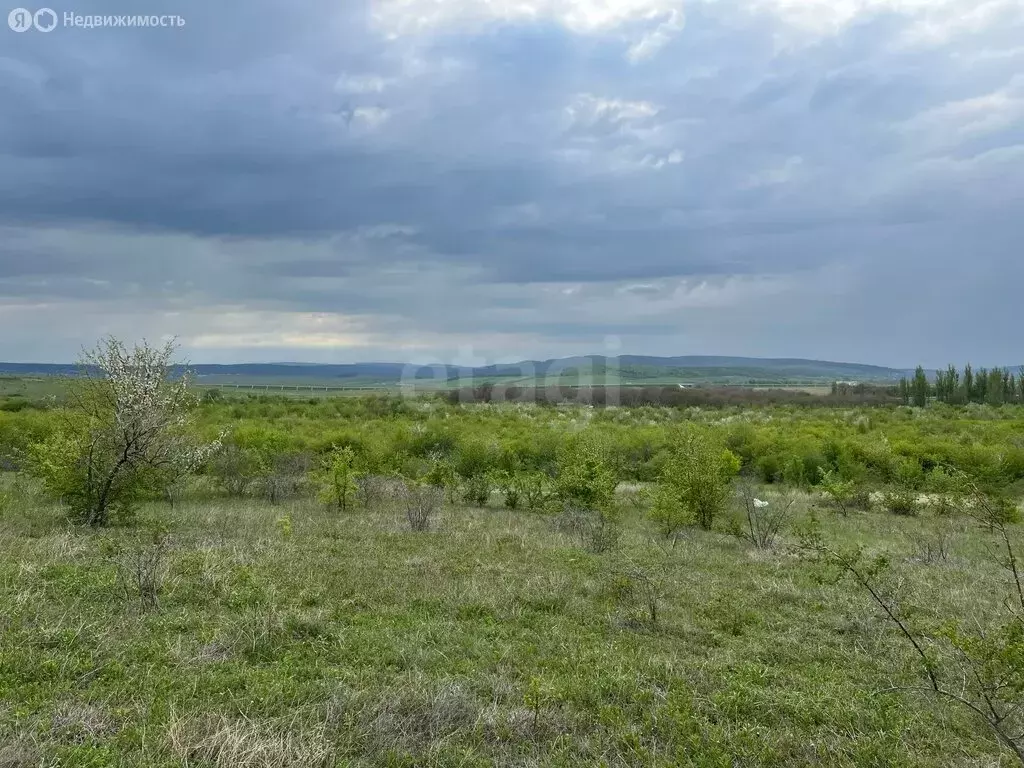 Участок в Трудовское сельское поселение, село Дружное, Лесная улица (8 ... - Фото 2