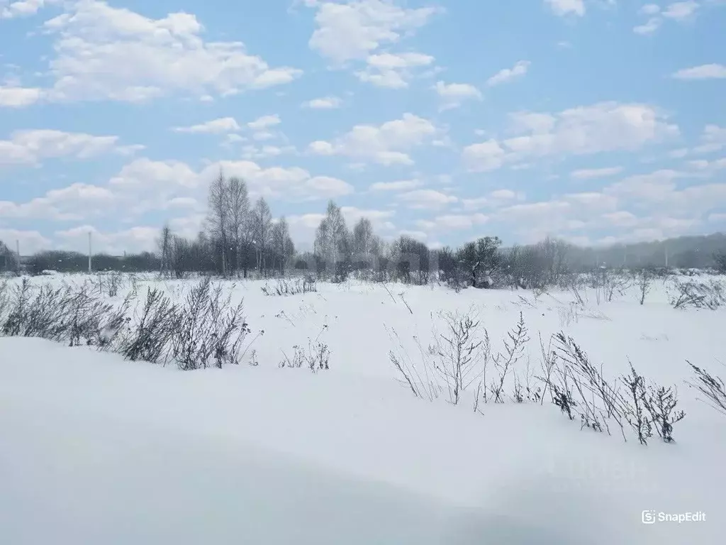 Участок в Костромская область, Кострома Соколиное Гнездо кп, 1 (11.33 ... - Фото 1