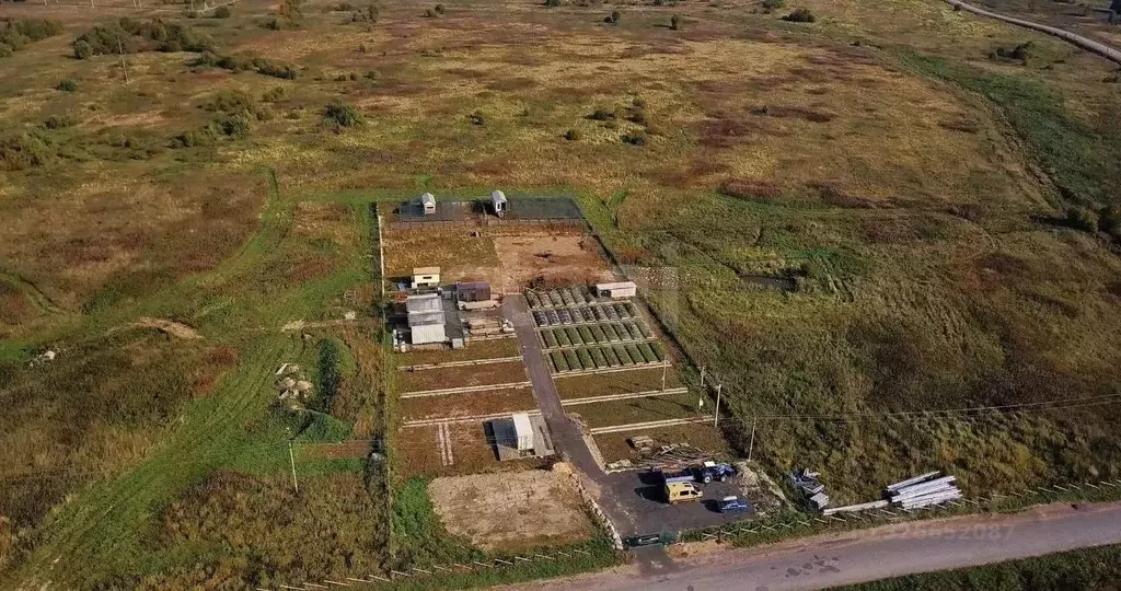 Участок в Ленинградская область, Ломоносовский район, Низинское с/пос, ... - Фото 2