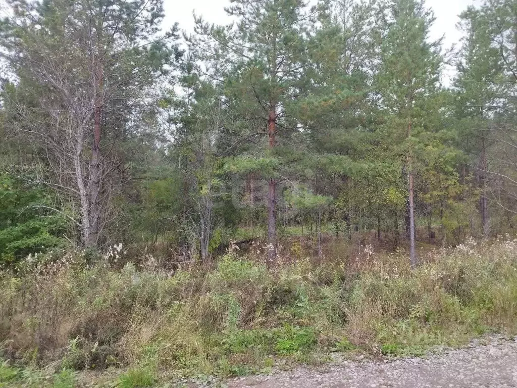 Участок в Свердловская область, Талица  (10.0 сот.) - Фото 2