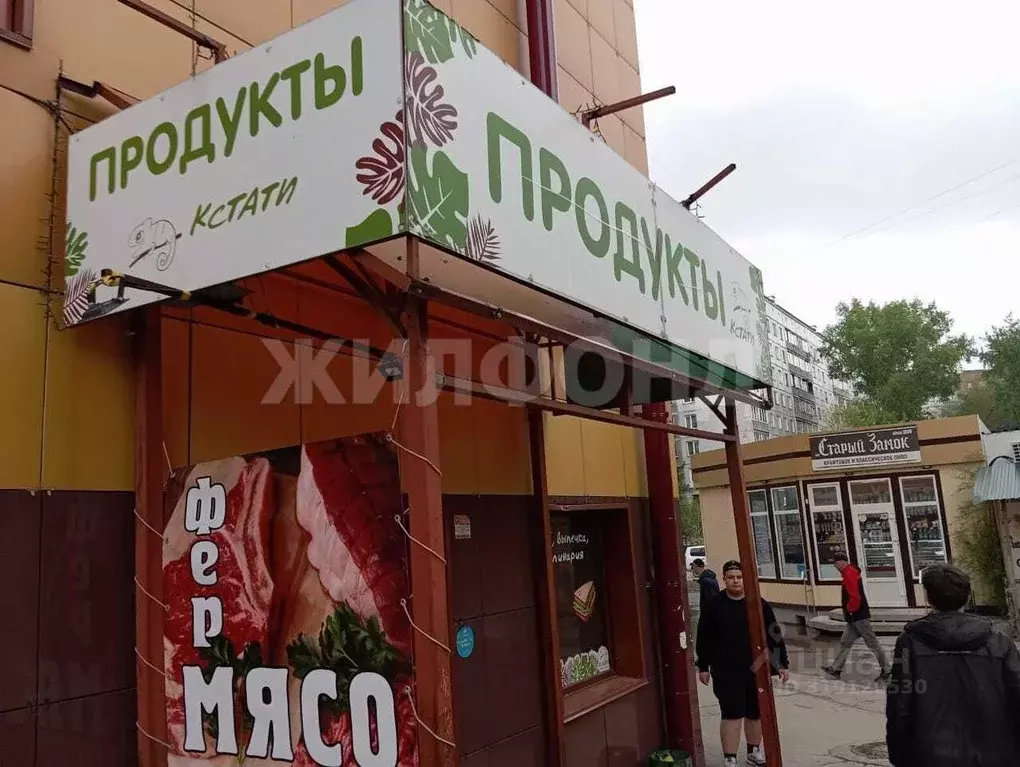 Помещение свободного назначения в Новосибирская область, Новосибирск ... - Фото 1