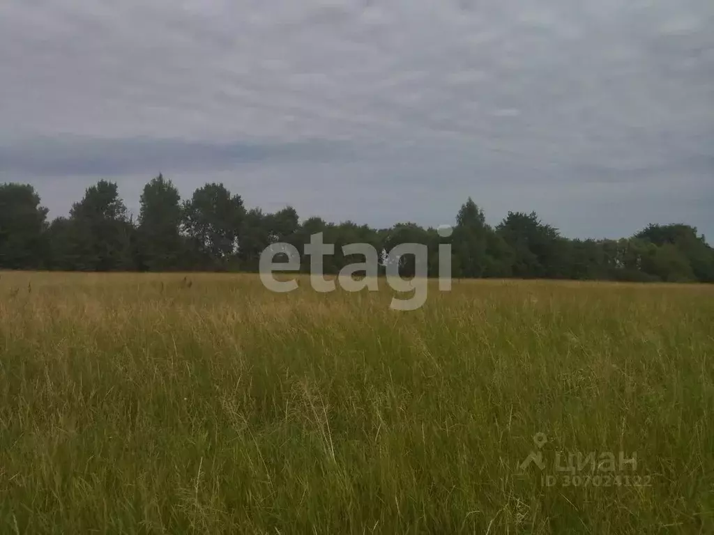 Участок в Брянская область, Жуковский муниципальный округ, с. Овстуг  ... - Фото 1