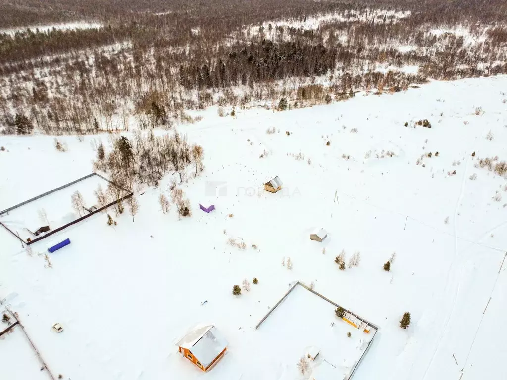 Участок в Томская область, Томский район, с. Кафтанчиково ул. Полевая, ... - Фото 2