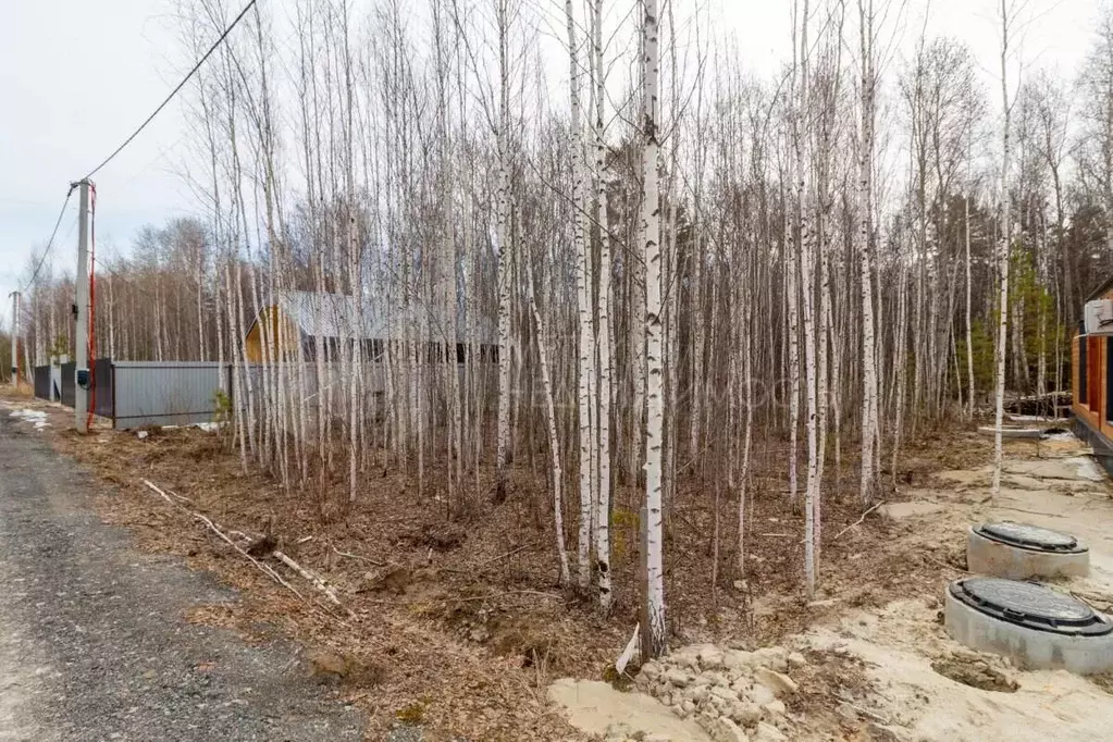 Участок в Тюменская область, Нижнетавдинский район, Геолог-2 СНТ 3-я ... - Фото 0