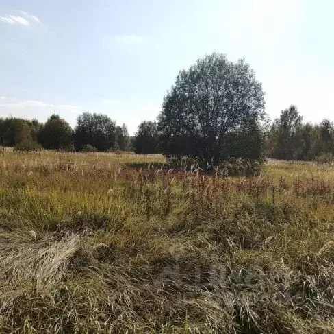 Участок в Московская область, Дмитровский муниципальный округ, д. ... - Фото 0