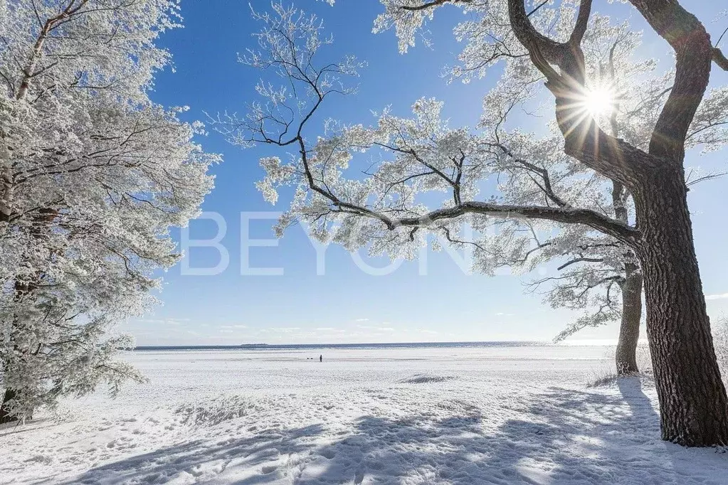 Участок в Санкт-Петербург, Санкт-Петербург, Сестрорецк Пляжная ул., 12 ... - Фото 1
