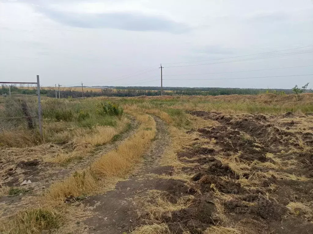 Участок в Ростовская область, Мясниковский район, Краснокрымское ... - Фото 1