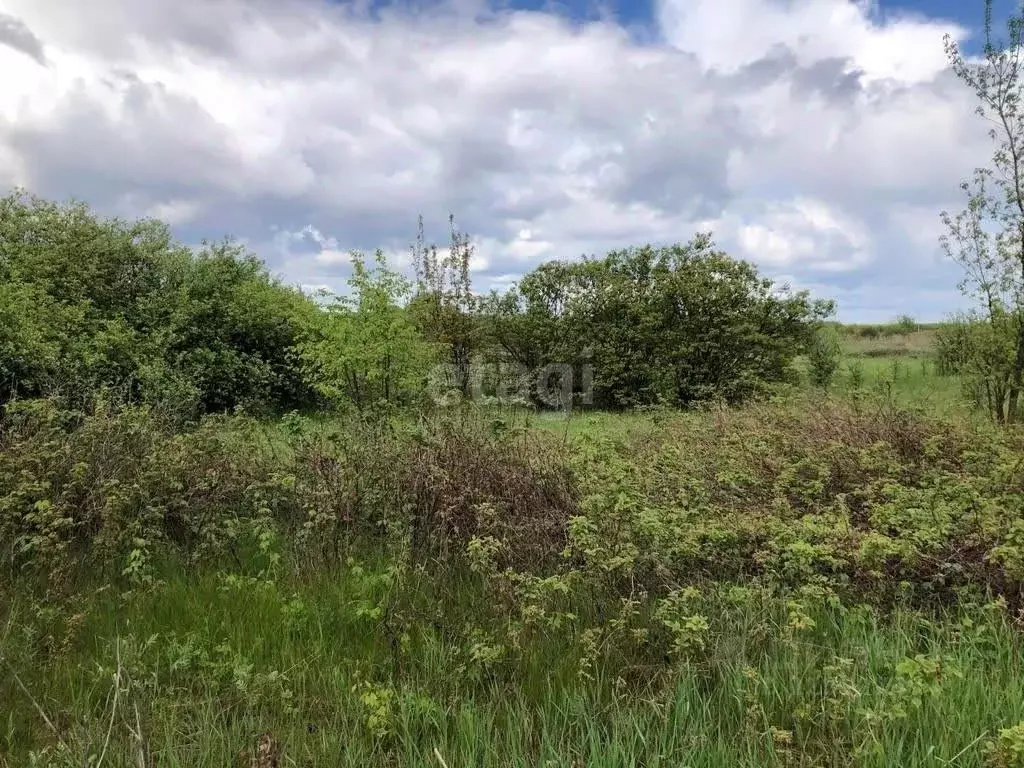 Участок в Тамбовская область, Тамбов городской округ, с. Бокино ул. ... - Фото 1