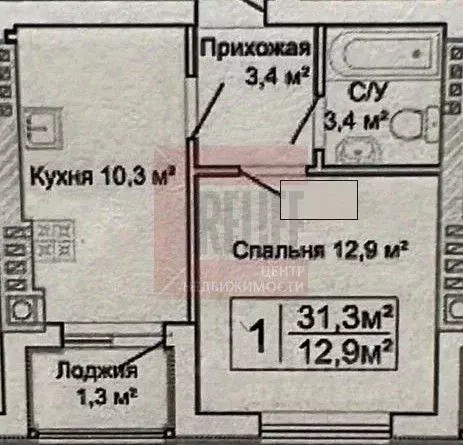1-к кв. Калининградская область, Зеленоградск пос. Вишневое,  (30.5 м) - Фото 2