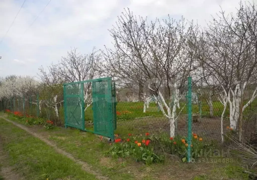 Участок в Ростовская область, Родионово-Несветайский район, ... - Фото 1