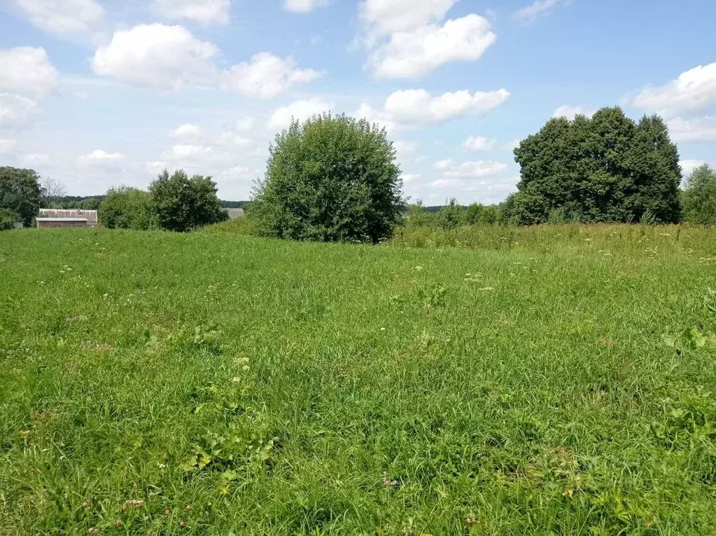 Участок в Калужская область, Ферзиковский район, Бебелевский ... - Фото 2