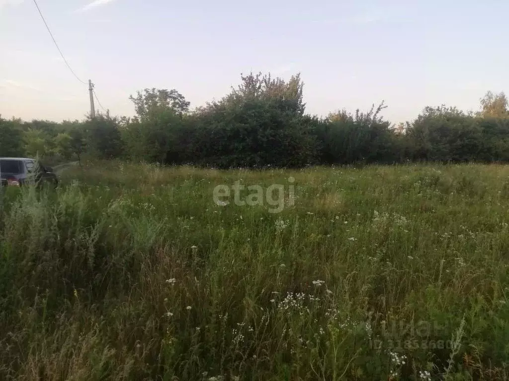 Участок в Белгородская область, Яковлевский муниципальный округ, ... - Фото 0