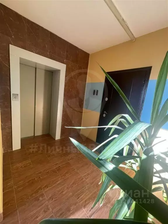 2-к кв. Рязанская область, Рязань ул. Мещерская, 24/6 (50.0 м) - Фото 2